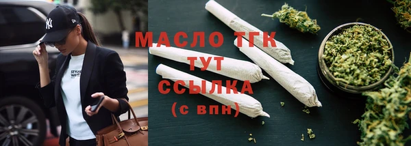 гашик Осинники