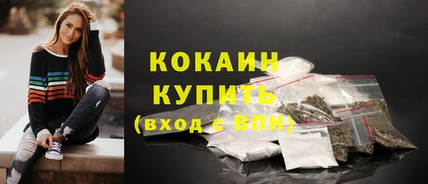 индика Нязепетровск
