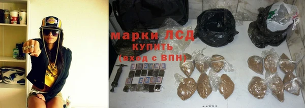 индика Нязепетровск