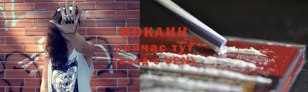 МДПВ Осташков