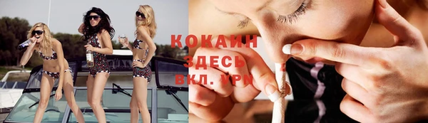 гашик Осинники
