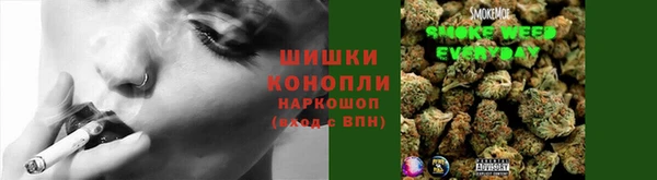индика Нязепетровск
