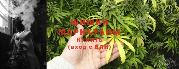 МДПВ Осташков