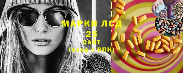 индика Нязепетровск