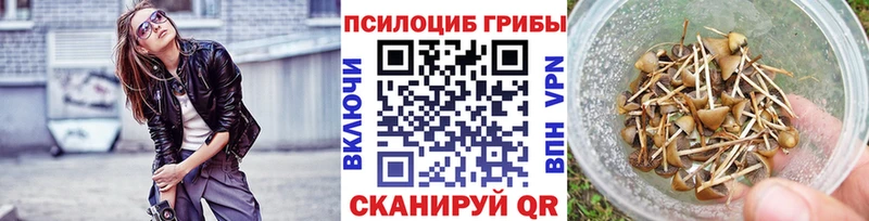 Псилоцибиновые грибы GOLDEN TEACHER Сольвычегодск