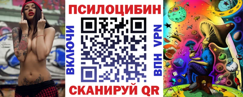 Галлюциногенные грибы Psilocybine cubensis  Купить  Сольвычегодск 