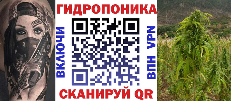 Купить где  Сольвычегодск  Шишки марихуана марихуана 